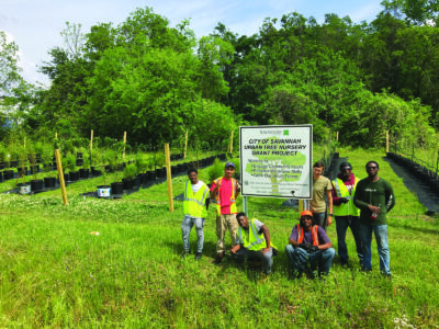Green Gazette: Urban Tree Nursery Project Image